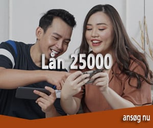 Lån 25000