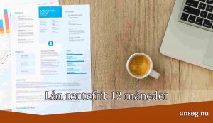 Lån rentefrit 12 måneder